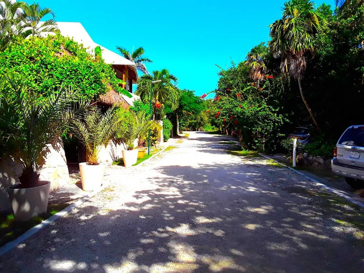Casa Gatos Suites Akumal Apartment