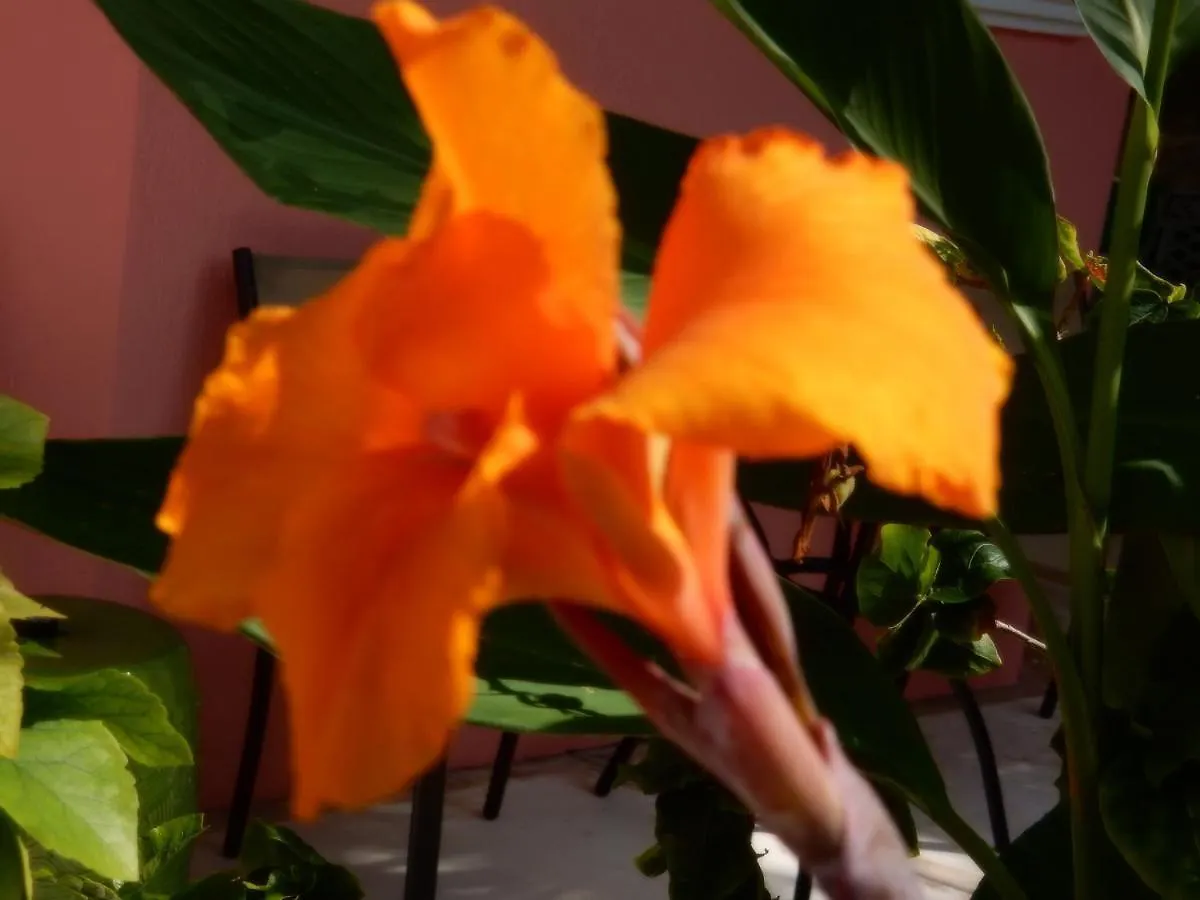 Apartmán Casa Gatos Suites Akumal