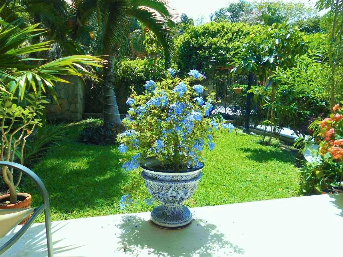Casa Gatos Suites Akumal Apartment