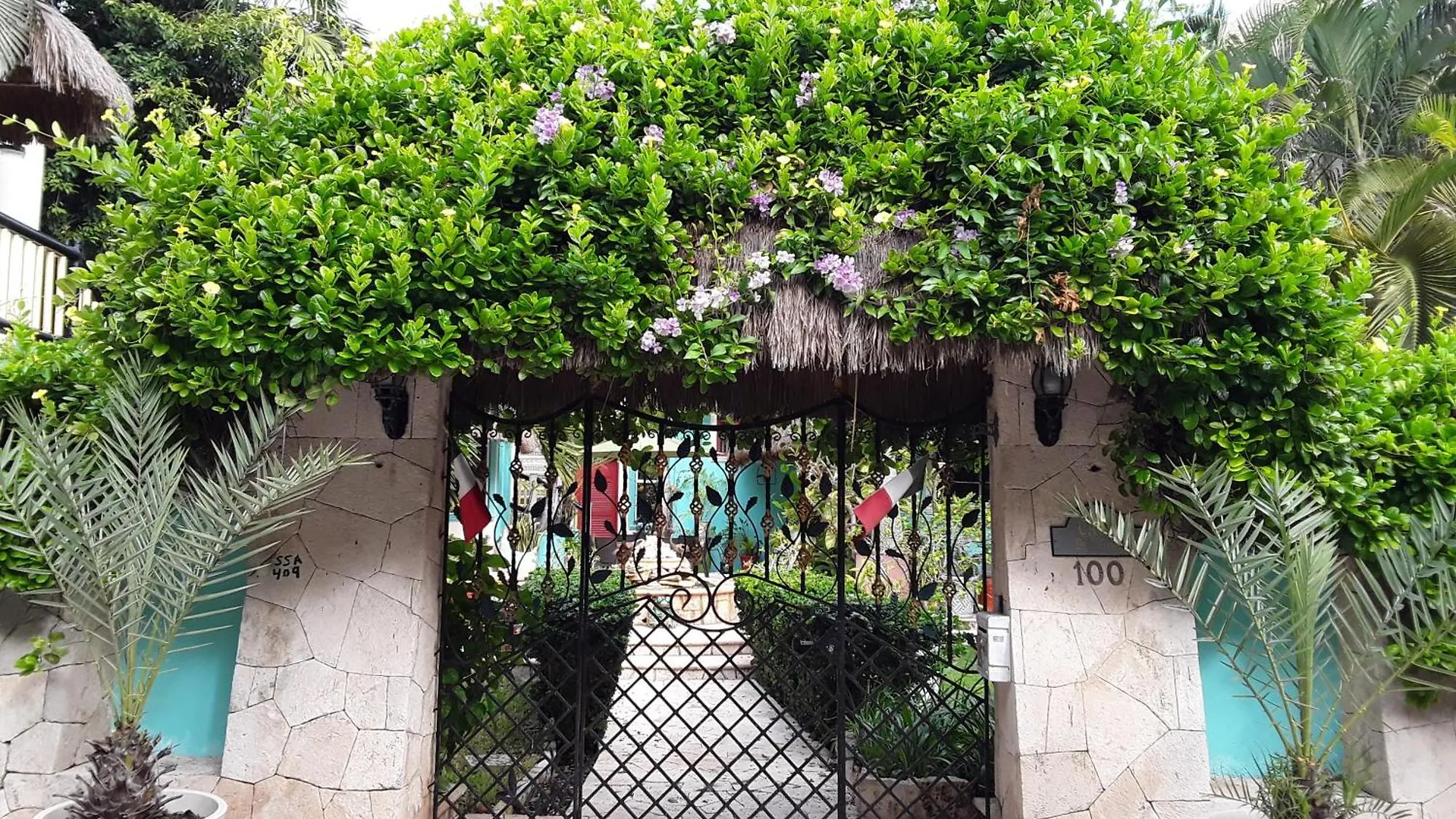 Casa Gatos Suites Akumal Mexico