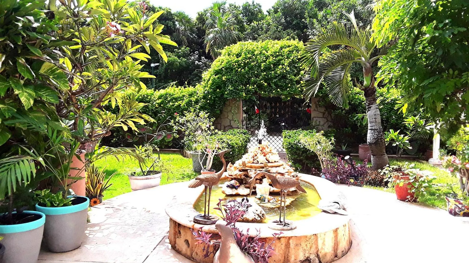 Casa Gatos Suites Akumal 0*,